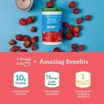 Amazing Grass Kidz Superfood: Organic Greens, Fruits, Veggies, Beet Root Powder & Probiotics for Healthy Kids, Outrageous Chocolate, 30 Servings, 6.35 Ounce (Pack of 1) - Image 3